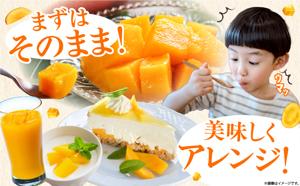 完熟マンゴー2L×2玉（パック）【JA綾町】_A0114-1021