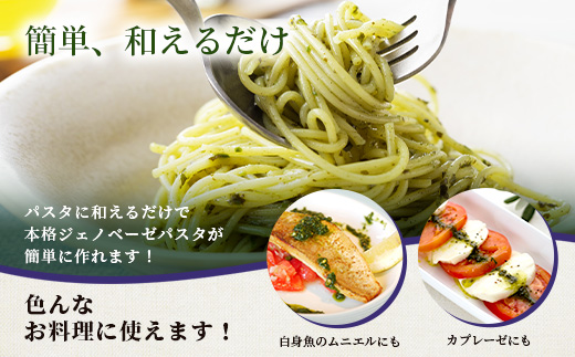 発酵ジェノベーゼソース(150g×2個)【鹿児島県枕崎産 バジル使用】A2−17【配送不可地域：離島】【1611632】