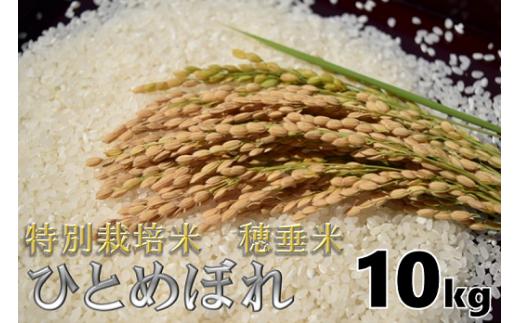 米　精米　白米　特別栽培米　穂垂米　「ひとめぼれ」　10kg　【令和7年産】