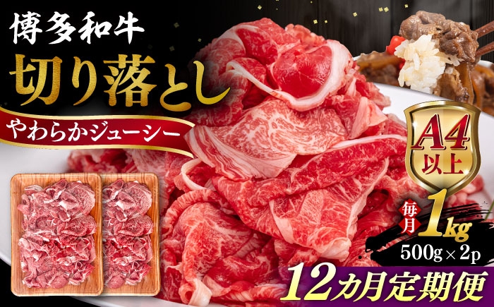 
            【全12回定期便】【A4/A5等級】博多和牛 切り落とし 1kg (500gｘ2P) 糸島市 / ヒサダヤフーズ 黒毛和牛 牛肉 スライス 雌牛 [AIA101]
          