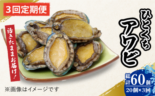 【全3回定期便】【活きたままお届け！】 上五島産 養殖 ひとくち アワビ 活 厳選 20個 刺身 ステーキ 生 【豊建設株式会社】 [RAE006]