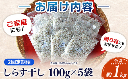 ＜漁師さん自慢のしらす干し 合計500g 2回定期便＞ 定期便 シラス 魚介類 さかな 海産物 海鮮 海の幸 小分け 国産 ご飯のお供 丼 晩酌 おかず 特産品 濱田水産 愛媛県 西予市 【冷凍】『お