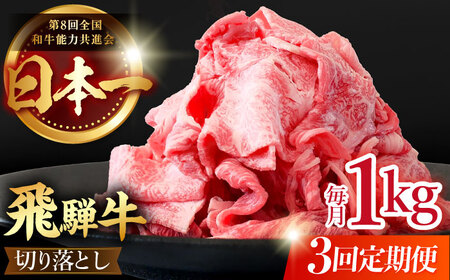  【3回定期便】【飛騨牛】切り落とし 総計3kg 〈1回あたり〉1kg (250g×4) [TDC014]飛騨牛 切り落とし