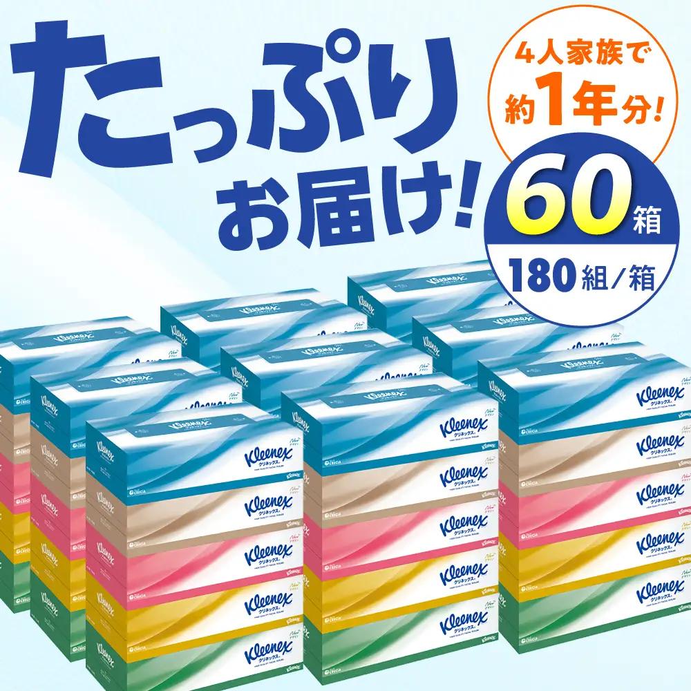 クリネックス 60箱 ボックスティッシュ ティッシュペーパー [BDBH001-1]