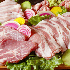 岩手ブランド豚 四元豚 おまかせカット肉＆ひき肉 うるおい野菜セット 季節の野菜セット GIFTON お歳暮 新鮮 うるおい春夏秋冬 希少 豚 肉 ポーク 豚バラ ロース トンテキ しゃぶしゃぶ 薄切