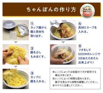 レトルトちゃんぽん12食( レトルト ちゃんぽん チャンポン 簡単調理 詰め合わせ レンチン )【B7-032】