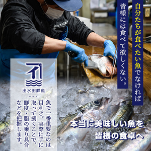 2531 鹿児島県産鮮魚詰合せセット（４～５尾）