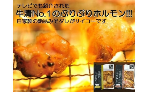 1504　自家製 みそダレ Aセット　/ 黒毛和牛ホルモン 牛清 バーベキュー BBQ キャンプ 牛肉 ぶた肉 特製 味噌漬 味付 大人気 伊勢志摩 三重県 伊勢市