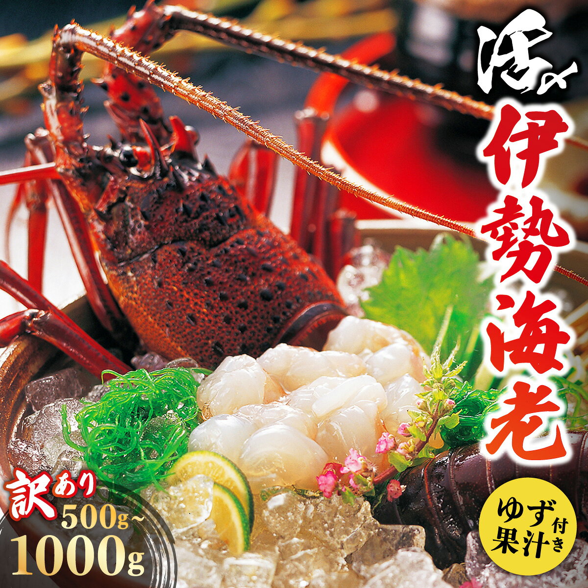 【ふるさと納税】＜選べる容量＞訳あり 活〆伊勢海老 500g/1000g｜国産 東洋町産 天然 新鮮 海鮮 ゆず果汁付き 刺身 焼き ボイル 四国 お取り寄せ お祝い 記念日 贈り物 送料無料