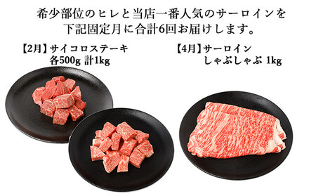 【年6回偶数月発送】伊賀牛 A5ヒレ・サーロイン 定期便A 総合計約6.1kg