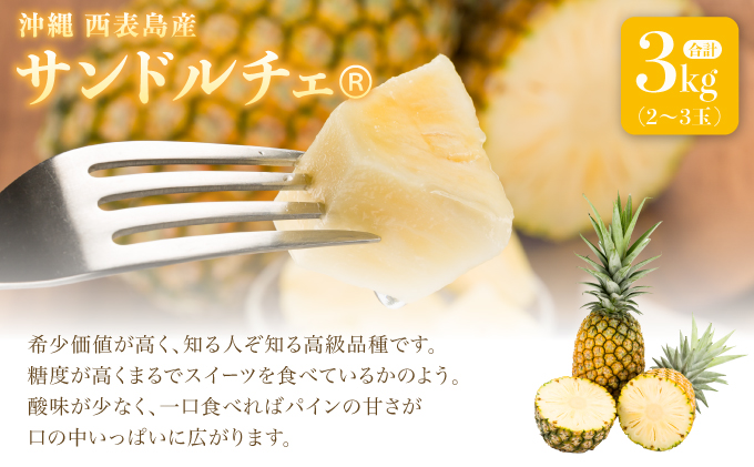 熟鮮サンドルチェ(R) 3kg(2～3玉 )2026年 先行予約 パイン沖縄 西表島産 レア品種 沖縄 西表島産 果物 フルーツ
