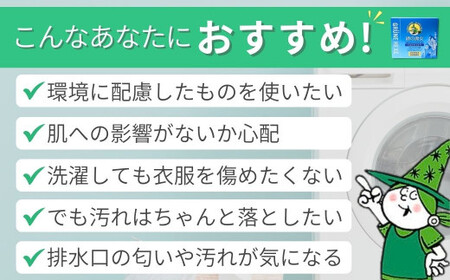 環境配慮型 緑の魔女ランドリーパウダー1kg×12個セット | 茨城県 龍ケ崎市 洗剤 パウダー 粉末 粉末洗剤 環境配慮 エコ やさしい 洗濯 洗濯洗剤 衣類 汚れ よごれ 油汚れ 皮脂 皮脂汚れ 