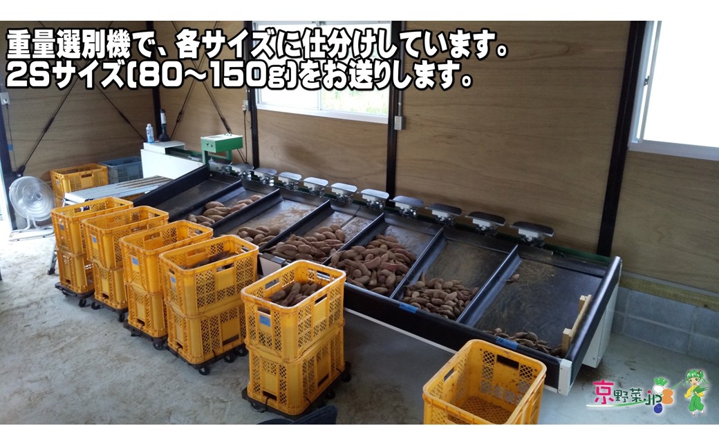 小さい紅はるか（京都産） 8kg