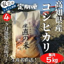 【ふるさと納税】《令和6年産》4ヵ月連続でお届け！「コシヒカリ（白米）」定期便　5kg×4回