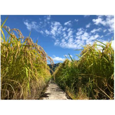 ふるさと納税 五泉市 【毎月定期便】特別栽培米コシヒカリ100%「南郷米」精米 6kg(2kg×3袋)全3回 |  | 03