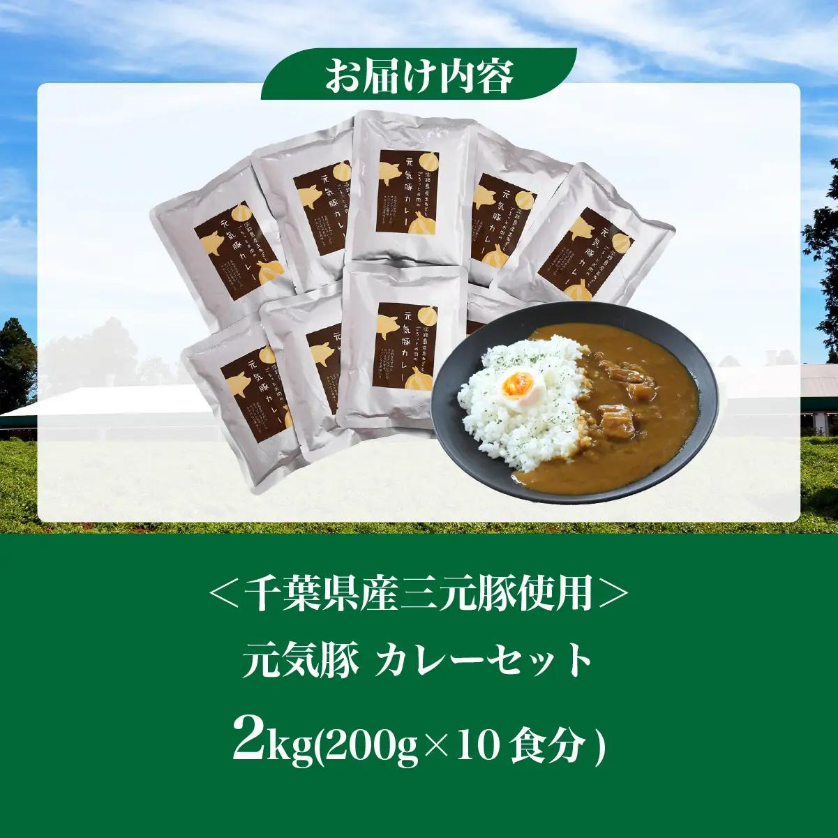 【千葉県産三元豚使用】元気豚 カレーセット　2kg(200g×10食分)_三元豚 カレー セット 千葉県産_【配送不可地域：離島・沖縄県】 TAKB013