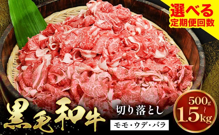 
                  牛肉 黒毛和牛 切り落とし 小分け 選べる 500g 1kg 1.5kg A4 A5 定期便 あり 田中畜産 《30日以内に出荷予定(土日祝除く)》 熊本県 苓北町 ミシュラン ビブグルマン 国産 肉 黒毛 和牛 赤身 カレー 肉じゃが 牛丼 煮込み 便利 使い勝手抜群 天草 産地直送
                