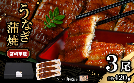 うなぎ 蒲焼 うなぎ[国産 3尾 420g]