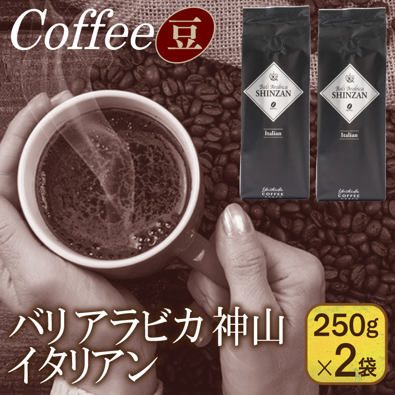 バリアラビカ神山イタリアン　250g×2袋／豆 【珈琲 こーひー コーヒー 自家焙煎 オリジナル ギフト キャンプ アウトドア 家計応援】 099H1852