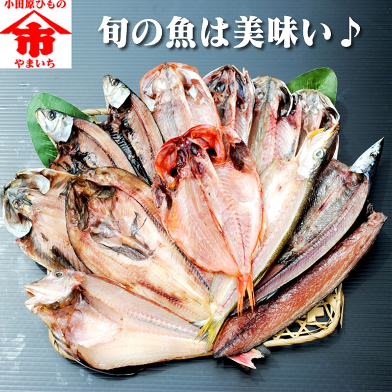 
おまかせ干物セット 3倍セット【惣菜 魚 干物 ひもの お取り寄せ 御中元 お中元 お歳暮 父の日 母の日 贈り物 家庭用 自宅用 贈答品 贈答用 ギフト 定番 神奈川県 小田原市 】
