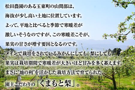 『松田農園』のくまもと梨 期間限定 たっぷり約5kg 8-18玉前後《7月下旬-9月末頃出荷》 予約受付中 熊本県玉名郡玉東町『松田農園』｜ブランド梨 人気梨 特産品梨 熊本県梨 玉東町梨 大人気返礼