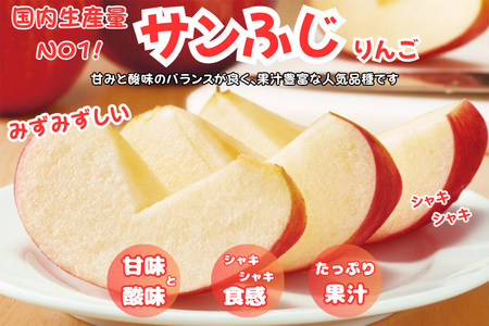 【25年11月～発送】りんご【訳あり ご家庭用】サンふじ 3kg 青森県産 青森 果物 フルーツ 林檎 リンゴ くだもの