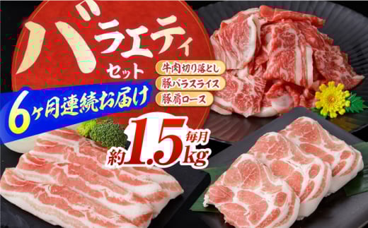 【6回定期便】お肉の定期便 バラエティセット (6ヵ月) 総計約9kg 国産 牛肉 切り落とし 豚肉 バラ スライス 【(有)山重食肉】 [ATAP116]