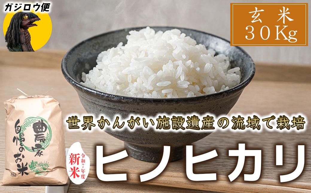 ガジロウ便【関東・中部・近畿・中国・四国】玄米 30kg 令和7年度産 ヒノヒカリ 八千種米 お米 30kg ごはん 兵庫県産 世界かんがい施設遺産登録『西光寺野疏水路』