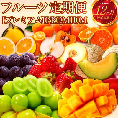 ふるさと納税 新富町 【発送月固定定期便】南国宮崎 プレミアムフルーツ定期便Vol.2【G47】全12回