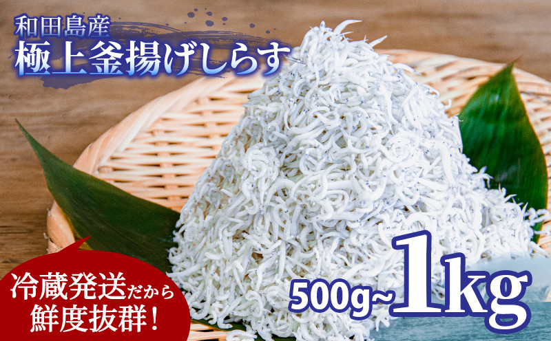 
            しらす 釜揚げ 選べる容量 先行予約 500g～1kg 先行予約 2025年5月発送 ちりめんじゃこ じゃこ しらす ちりめん 小魚 魚 海鮮 魚介類 魚貝 シーフード いわし 鰯 おかず おつまみ 惣菜 弁当 ご飯 のお供 ごはん 酒の肴 のお供 小分け 冷蔵 新鮮 海鮮 お取り寄せ グルメ ギフト プレゼント 贈答 人気 おすすめ 徳島県 小松島市 和田島産
          