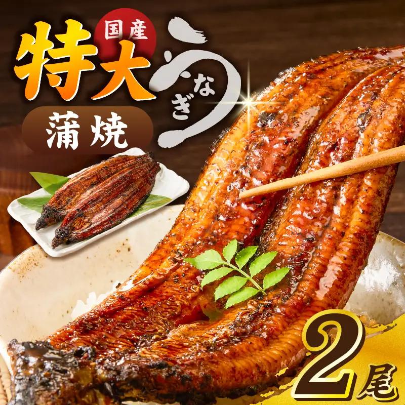 うなぎの蒲焼 2尾セット（特大サイズ 一尾 170g～200g）_うなぎ 蒲焼 2尾 セット 特大サイズ 一尾170g～200g たれ付き 鰻専門問屋 樋口商店 鹿児島 宮崎 国産 ジャポニカ種 真空パック ギフト お取り寄せ グルメ うな丼 うな重 ひつまぶし お土産 手土産 贈り物 プレゼント お中元 職人 送料無料 〔Cu001〕