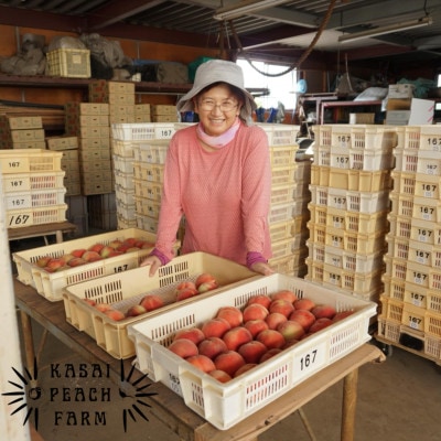 厳選朝採り桃 山梨の笠井桃園の桃 約2kg【配送不可地域：離島】