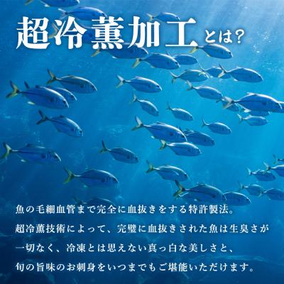 ふるさと納税 西予市 訳あり 超冷薫加工 ブリ ブロックカット 600g |  | 03