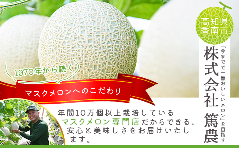 【14日程度で発送】メロン 2個 青肉 2玉 贈答 ギフト 高知 一果相伝マスクメロン 青肉 先行予約 フルーツ メロン 果物 デザート tn-0012 贈答用 2玉