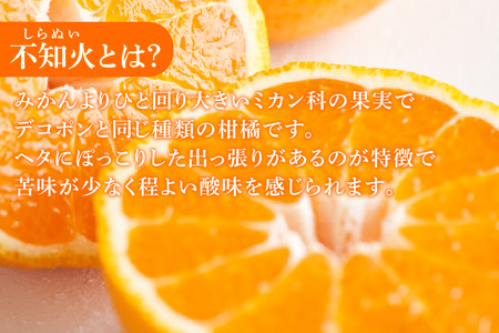 【お中元 外熨斗対応可能】知多市産不知火ジュース　2本