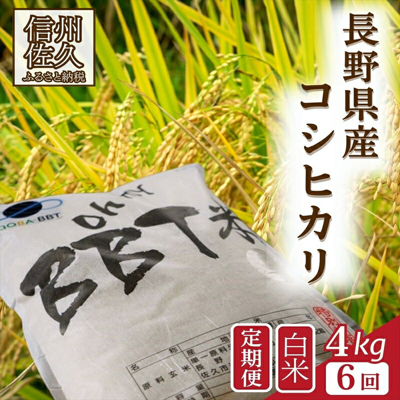 【ふるさと納税】【令和7年産・白米4kg×6カ月定期便】　特別栽培米　BBT米（五郎兵衛米） 〈2025年10月中旬頃～順次発送〉 先行予約　新米　信州　こしひかり【 米 コメ 白米 精米 お米 こめ おこめ 新米予約 備蓄品 コシヒカリ 長野県 佐久市 】