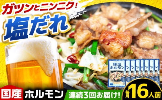【3回定期便】岐阜県産豚もつの鉄板焼き「元祖みたけとんちゃん」豚塩味 8袋（16人前） / モツ もつ 白もつ ホルモン / 御嵩町 / 藤よし [AVAA079]