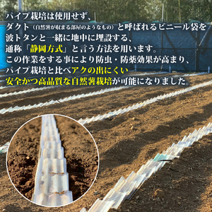074-9　丁子屋が選んだ自然薯　台地のご馳走3ｋｇ
