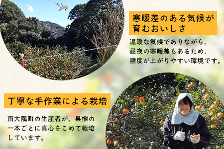 【数量限定】鹿児島県南大隅産スイートスプリング 5kg 【2025年12月下旬より順次発送】｜柑橘 くだもの 果物 フルーツ スイートスプリング 食品 人気 おすすめ 南大隅 新鮮 産地直送 爽やか 