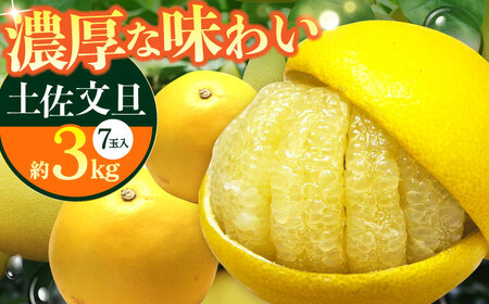 【先行予約】 南国高知温室 土佐文旦 約3kg 7玉〈2026年11月中旬～2027年2月中旬頃発送〉/ 文旦 ぶんたん 3kg 3キロ 温室 果物 フルーツ デザート 柑橘 南国 土佐 高知 名物 名産 ムッキー 【フルーツショップオザキ】[ATAH011]