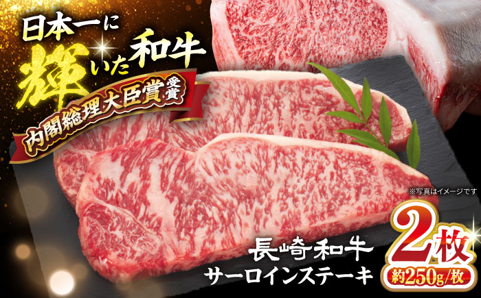 長崎和牛 サーロイン ステーキ 計500g（2枚） 訳あり ＜大西海ファーム食肉加工センター＞[CEK178]