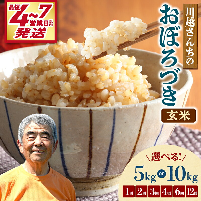 【ふるさと納税】＼ 最短4営業日以内発送～！ ／新米 令和8年産 ／ 令和7年産 川越さんちのおぼろづき 玄米【 選べる！5kg or 10kg / 1回 ・ 2回 ・ 3回 ・ 4回 ・ 6回 ・ 12回 】北海道産米 ごはん ブランド 定期便 米 おにぎり お弁当 北海道 雨竜町 R7U009-0012-SKU