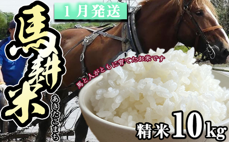 【 2027年 1月中旬より発送】 岩手県産 馬耕米 あきたこまち 精米 10kg 【スタディア】 白米 お米 米 こめ コメ 馬ふん堆肥 使用 ご飯 ごはん ライス おにぎり 弁当 単一原料米 10キロ １０kg 馬耕 馬 ウマ うま 産地直送 国産 おすすめ 人気 自宅用 家庭用 仕送り プレゼント 常温 常温発送