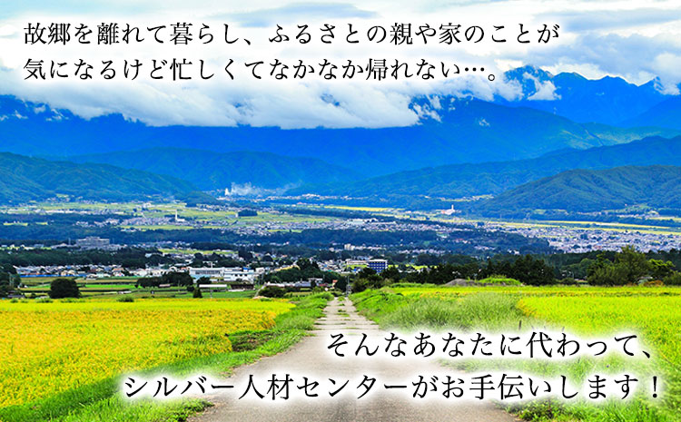 ふるさと親孝行代行サービスA---sn_silvercenter_r7_5000_a---