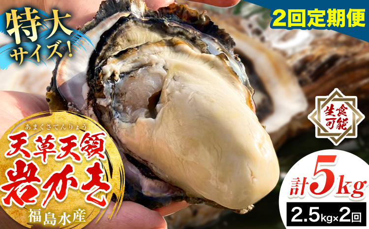 天領岩牡蠣 約2.5kg 2回 定期便 福島水産《2026年5月から出荷》熊本県 苓北町 牡蠣 かき カキ 岩カキ 岩ガキ 貝 BIG ビッグ 生食 バーベキュー 夏天草 天領 苓北 熊本 旬 シーズ