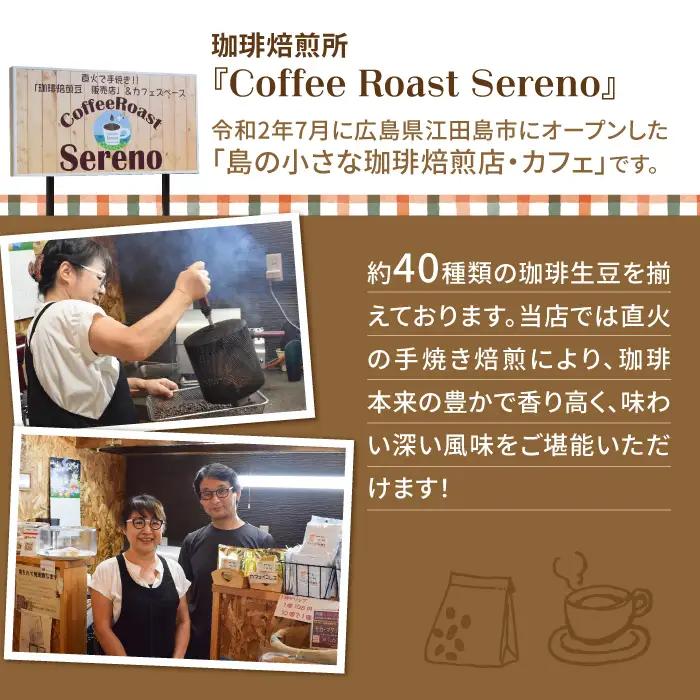 【全6回】コーヒー スペシャルティセット3種 豆or粉 コーヒー[XBE033]