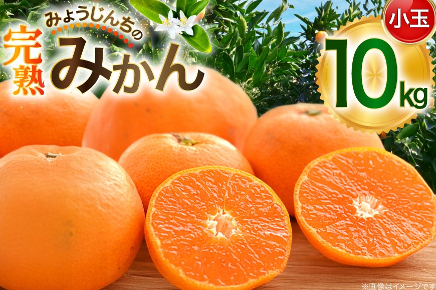 
                  みかん 小玉 10kg みょうじんちの完熟みかん【限定50箱】[カンキツ産直「明時家」 長崎県 東彼杵町 hs42bag790000] 温州みかん 温州 10 キロ ミカン 柑橘 フルーツ 期間限定 農家直送
                