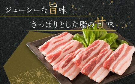 オリーブ豚　バラ焼肉用　1000g | 国産 オリーブ豚 焼肉 豚肉 豚 豚バラ バラ 焼肉 国産 人気 豚肉 オリーブ 焼肉