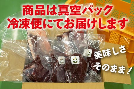 【伊豆産シカ肉】シカ1頭丸焼きセット（約10kg）鹿肉 シカ肉 ジビエ 高タンパク 高たんぱく 低カロリー 低脂肪 肉 お肉 山の幸