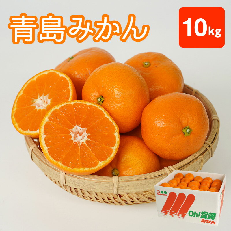 【ふるさと納税】期間限定 数量限定 青島 みかん 10kg フルーツ 果物 マリちゃん農園 マリみかん 酸味 甘さ 天孫降臨の地 高千穂 愛情たっぷり 手摘み 箱詰め 九州 宮崎県 延岡市 お取り寄せ 送料無料